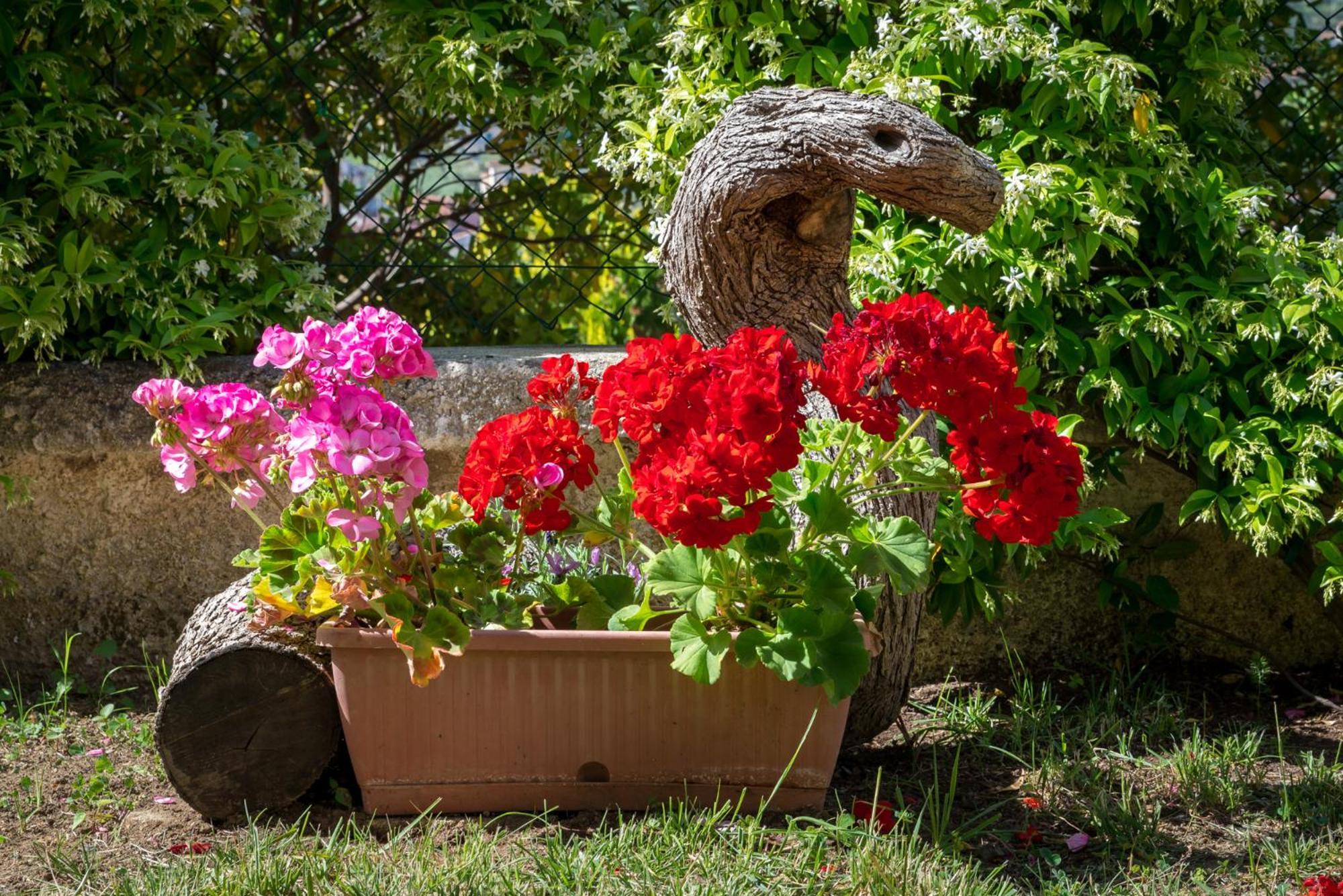 B&B Hibiscus Агрополи Екстериор снимка